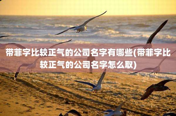 带菲字比较正气的公司名字有哪些(带菲字比较正气的公司名字怎么取)