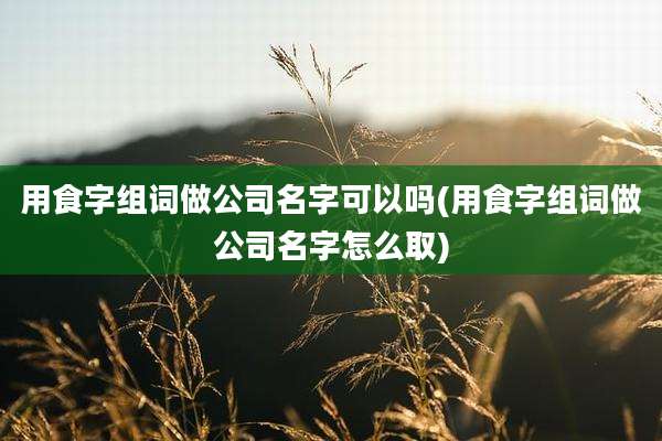用食字组词做公司名字可以吗(用食字组词做公司名字怎么取)
