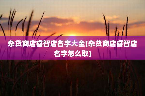 杂货商店睿智店名字大全(杂货商店睿智店名字怎么取)