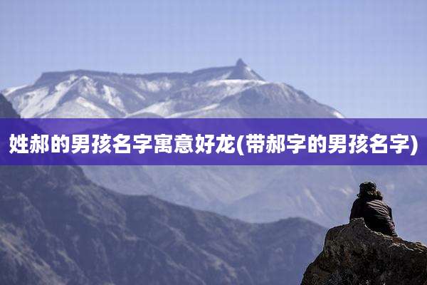 姓郝的男孩名字寓意好龙(带郝字的男孩名字)