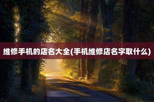 维修手机的店名大全(手机维修店名字取什么)