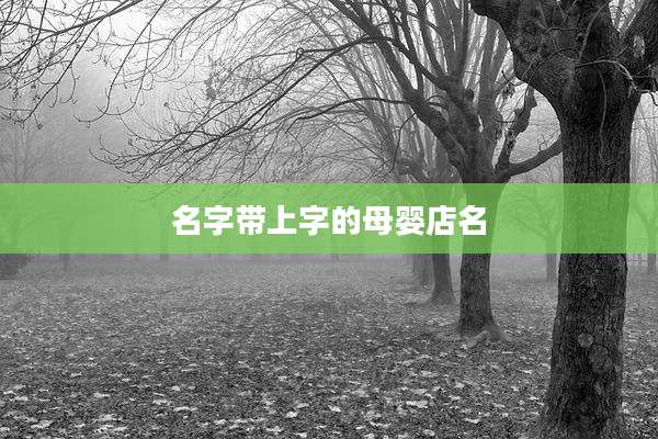 名字带上字的母婴店名