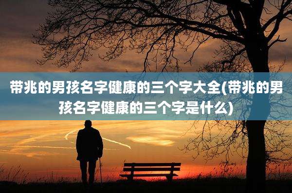 带兆的男孩名字健康的三个字大全(带兆的男孩名字健康的三个字是什么)
