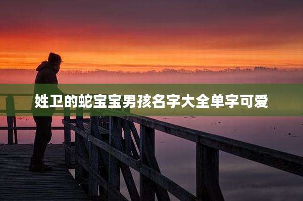 姓卫的蛇宝宝男孩名字大全单字可爱
