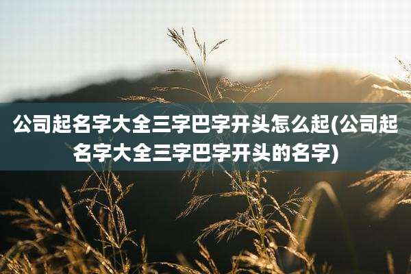 公司起名字大全三字巴字开头怎么起(公司起名字大全三字巴字开头的名字)