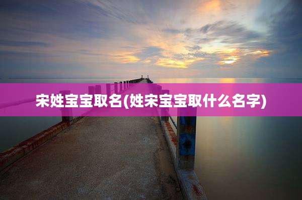 宋姓宝宝取名(姓宋宝宝取什么名字)