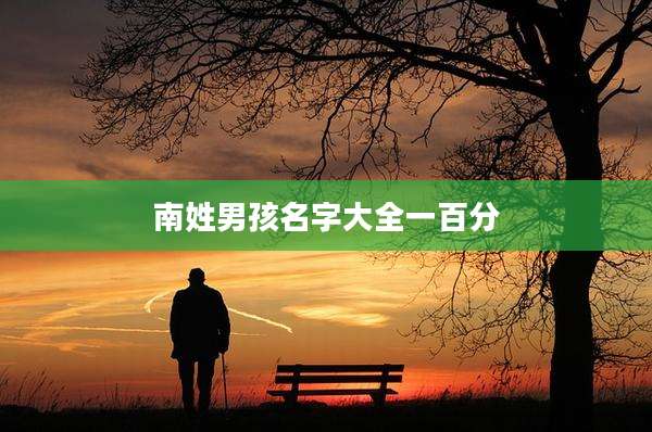南姓男孩名字大全一百分
