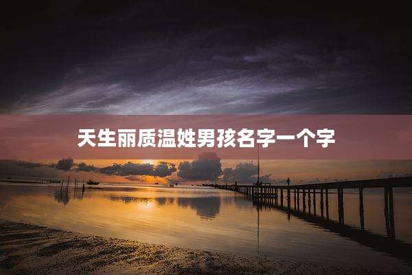 天生丽质温姓男孩名字一个字