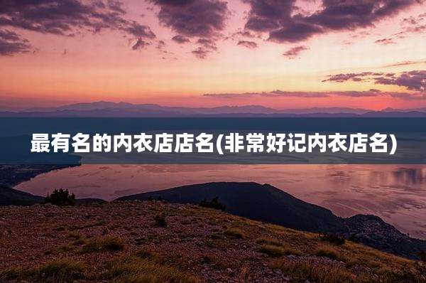 最有名的内衣店店名(非常好记内衣店名)