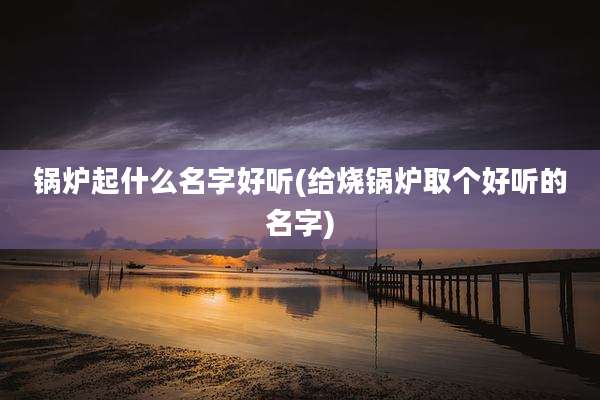 锅炉起什么名字好听(给烧锅炉取个好听的名字)