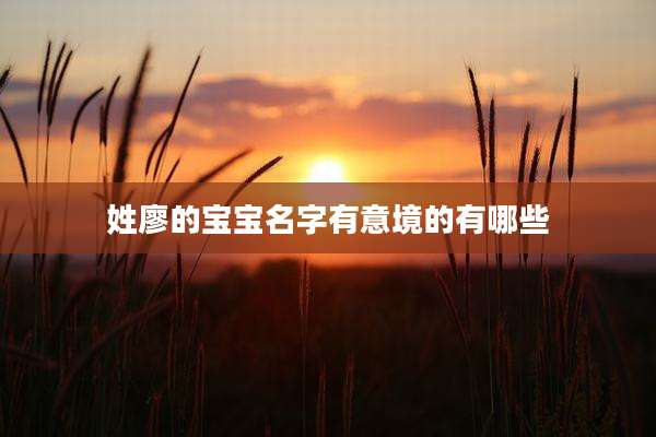 姓廖的宝宝名字有意境的有哪些