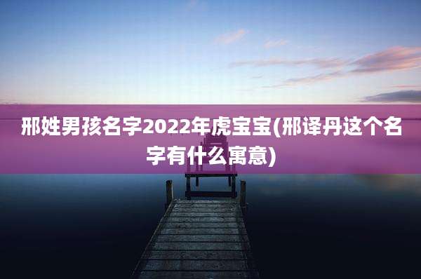 邢姓男孩名字2022年虎宝宝(邢译丹这个名字有什么寓意)
