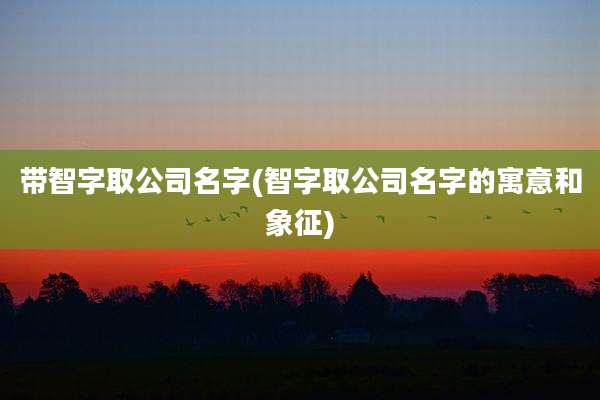 带智字取公司名字(智字取公司名字的寓意和象征)