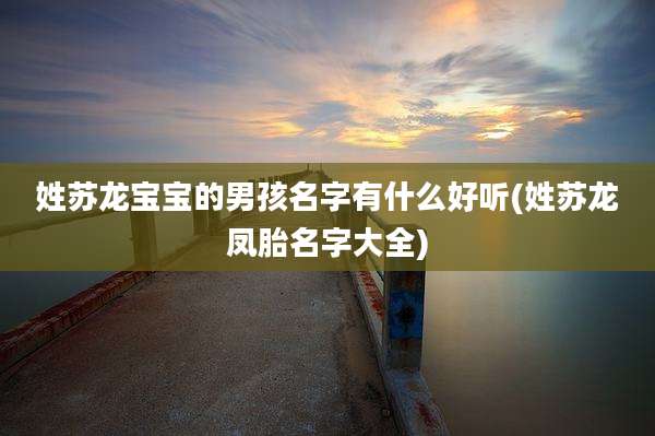姓苏龙宝宝的男孩名字有什么好听(姓苏龙凤胎名字大全)
