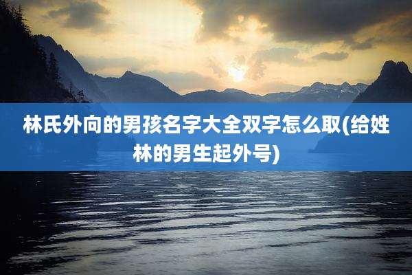 林氏外向的男孩名字大全双字怎么取(给姓林的男生起外号)