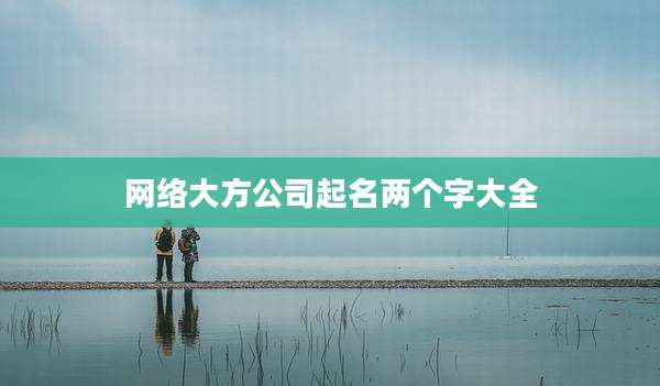 网络大方公司起名两个字大全