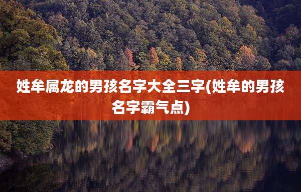 姓牟属龙的男孩名字大全三字(姓牟的男孩名字霸气点)