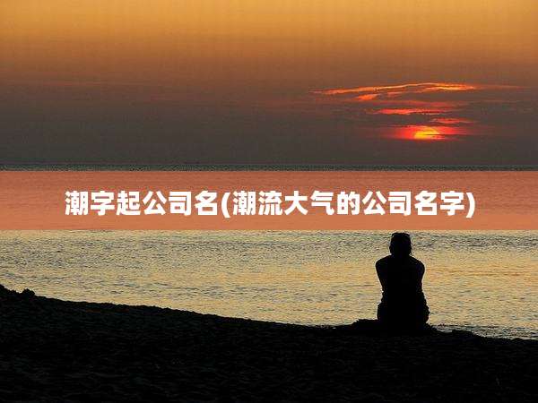 潮字起公司名(潮流大气的公司名字)