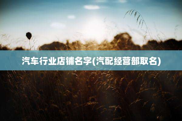 汽车行业店铺名字(汽配经营部取名)