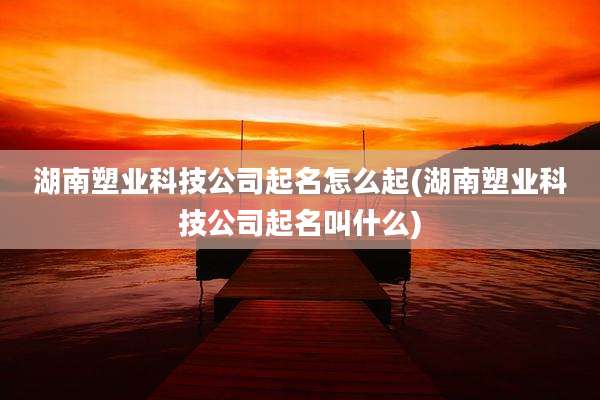 湖南塑业科技公司起名怎么起(湖南塑业科技公司起名叫什么)
