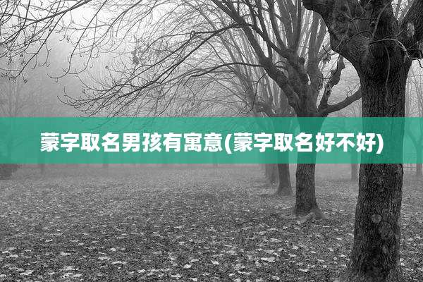 蒙字取名男孩有寓意(蒙字取名好不好)