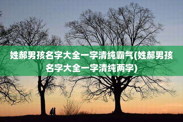 姓郝男孩名字大全一字清纯霸气(姓郝男孩名字大全一字清纯两字)