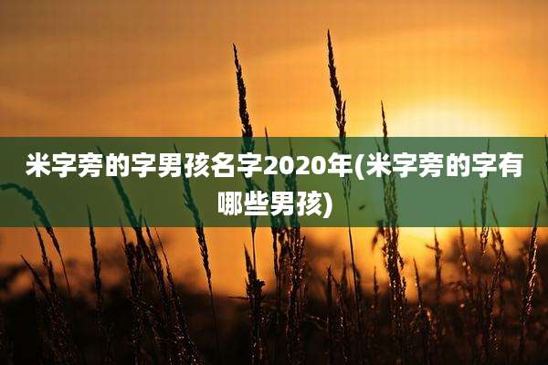 米字旁的字男孩名字2020年(米字旁的字有哪些男孩)