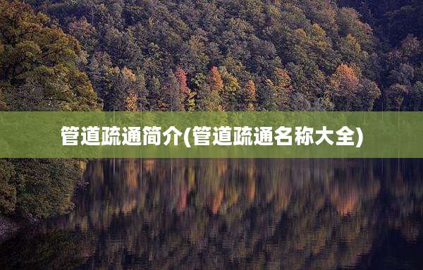管道疏通简介(管道疏通名称大全)
