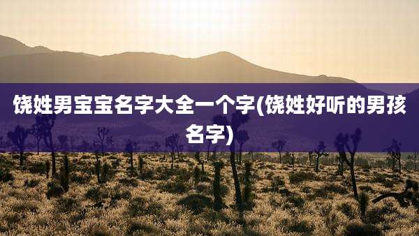饶姓男宝宝名字大全一个字(饶姓好听的男孩名字)