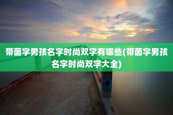 带茵字男孩名字时尚双字有哪些(带茵字男孩名字时尚双字大全)