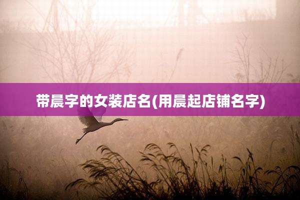 带晨字的女装店名(用晨起店铺名字)