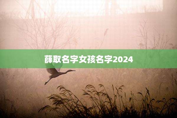 薛取名字女孩名字2024