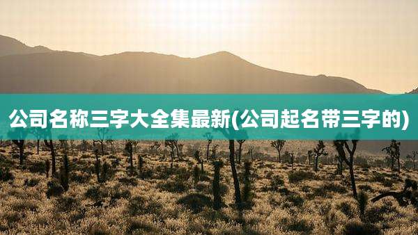 公司名称三字大全集最新(公司起名带三字的)