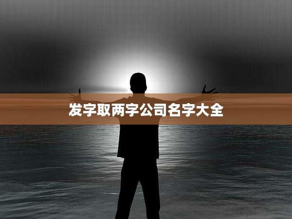 发字取两字公司名字大全