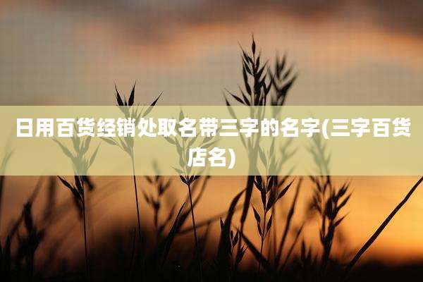 日用百货经销处取名带三字的名字(三字百货店名)