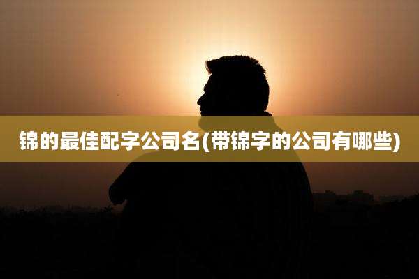 锦的最佳配字公司名(带锦字的公司有哪些)