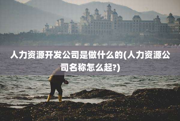 人力资源开发公司是做什么的(人力资源公司名称怎么起?)