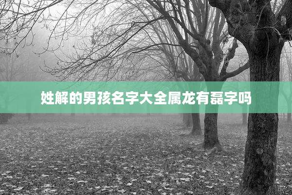 姓解的男孩名字大全属龙有磊字吗