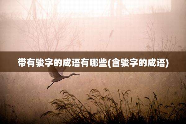 带有骏字的成语有哪些(含骏字的成语)