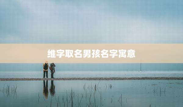 维字取名男孩名字寓意