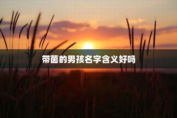 带茵的男孩名字含义好吗