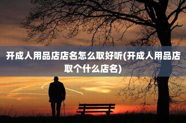 开成人用品店店名怎么取好听(开成人用品店取个什么店名)