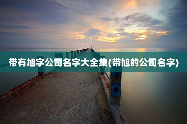 带有旭字公司名字大全集(带旭的公司名字)