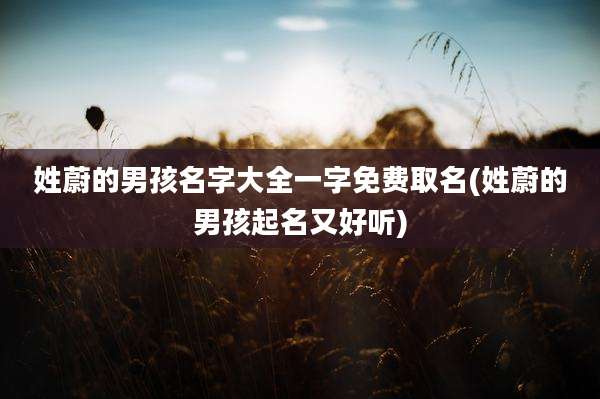 姓蔚的男孩名字大全一字免费取名(姓蔚的男孩起名又好听)