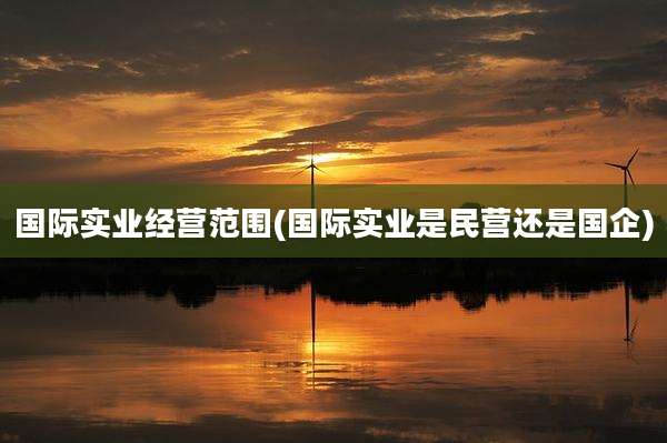 国际实业经营范围(国际实业是民营还是国企)