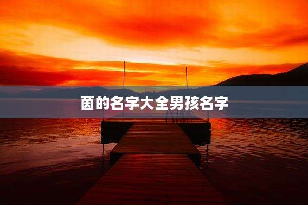 茵的名字大全男孩名字