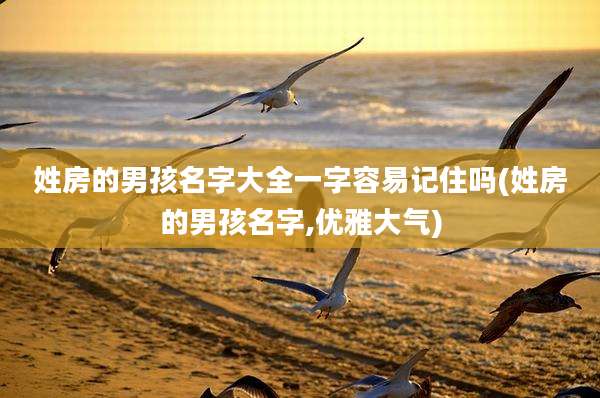 姓房的男孩名字大全一字容易记住吗(姓房的男孩名字,优雅大气)