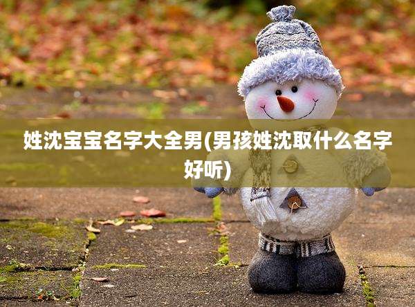 姓沈宝宝名字大全男(男孩姓沈取什么名字好听)