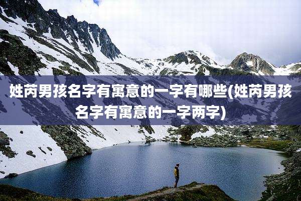 姓芮男孩名字有寓意的一字有哪些(姓芮男孩名字有寓意的一字两字)