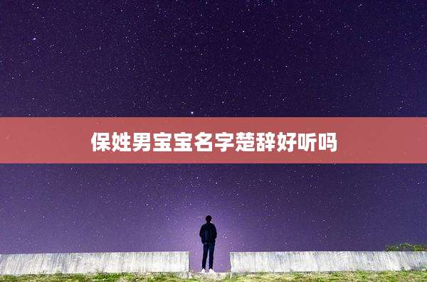 保姓男宝宝名字楚辞好听吗